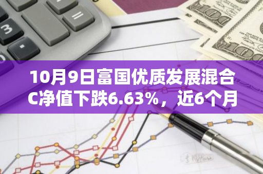 10月9日富国优质发展混合C净值下跌6.63%，近6个月累计下跌3.15%