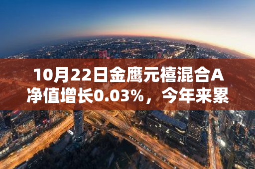 10月22日金鹰元禧混合A净值增长0.03%，今年来累计上涨2.34%