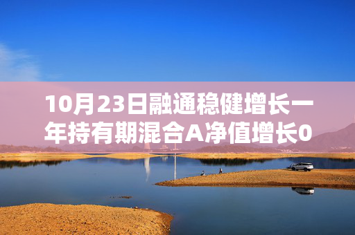 10月23日融通稳健增长一年持有期混合A净值增长0.04%，今年来累计上涨3.84%