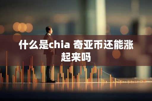 什么是chia 奇亚币还能涨起来吗