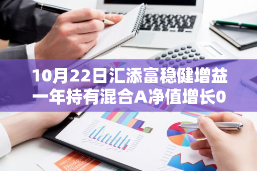 10月22日汇添富稳健增益一年持有混合A净值增长0.07%，今年来累计上涨3.63%