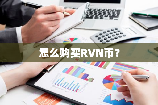 怎么购买RVN币？