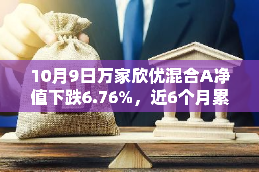 10月9日万家欣优混合A净值下跌6.76%，近6个月累计上涨0.82%