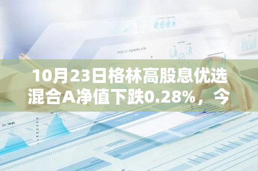 10月23日格林高股息优选混合A净值下跌0.28%，今年来累计上涨7.67%