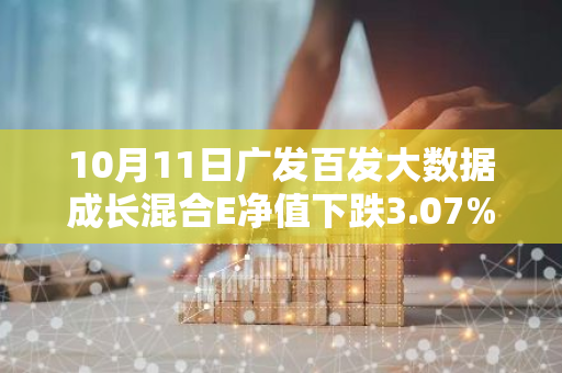 10月11日广发百发大数据成长混合E净值下跌3.07%，今年来累计下跌11.63%