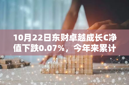 10月22日东财卓越成长C净值下跌0.07%，今年来累计下跌0.51%