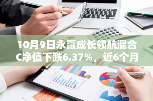 10月9日永赢成长领航混合C净值下跌6.37%，近6个月累计上涨6.31%