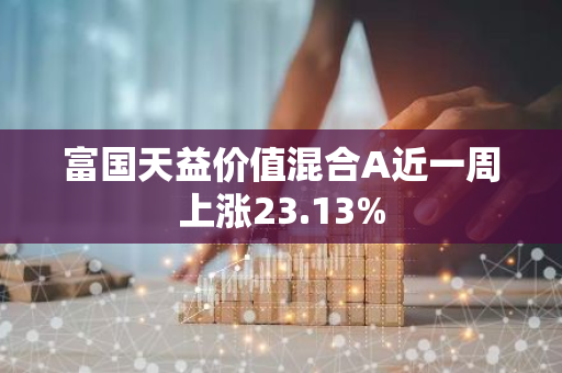 富国天益价值混合A近一周上涨23.13%