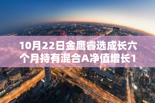 10月22日金鹰睿选成长六个月持有混合A净值增长1.06%，近1个月累计上涨27.47%