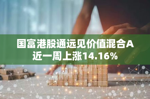 国富港股通远见价值混合A近一周上涨14.16%