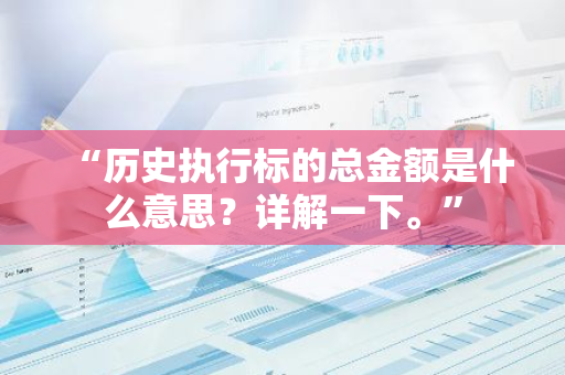 “历史执行标的总金额是什么意思？详解一下。”