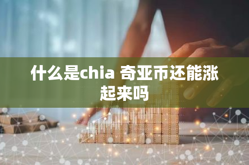 什么是chia 奇亚币还能涨起来吗