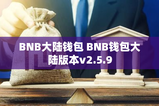 BNB大陆钱包 BNB钱包大陆版本v2.5.9