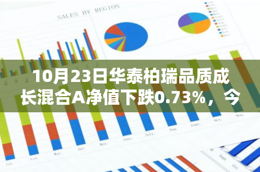 10月23日华泰柏瑞品质成长混合A净值下跌0.73%，今年来累计上涨6.82%