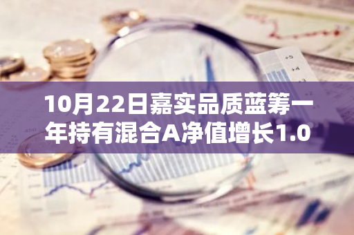 10月22日嘉实品质蓝筹一年持有混合A净值增长1.02%，近6个月累计上涨21.73%