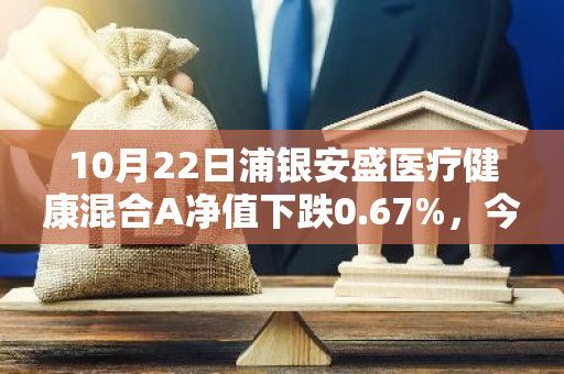 10月22日浦银安盛医疗健康混合A净值下跌0.67%，今年来累计下跌11.03%