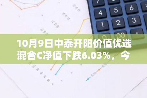 10月9日中泰开阳价值优选混合C净值下跌6.03%，今年来累计上涨4.66%