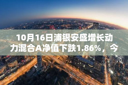 10月16日浦银安盛增长动力混合A净值下跌1.86%，今年来累计下跌8.66%