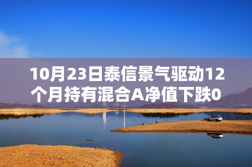 10月23日泰信景气驱动12个月持有混合A净值下跌0.52%，今年来累计下跌6.54%