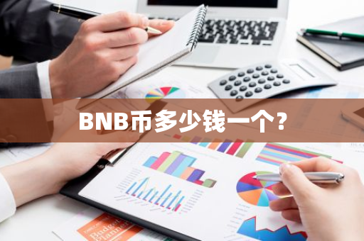 BNB币多少钱一个？