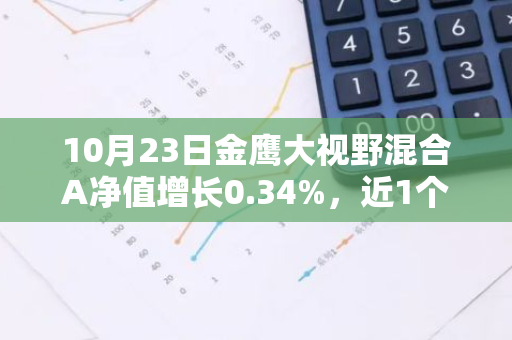 10月23日金鹰大视野混合A净值增长0.34%，近1个月累计上涨23.26%