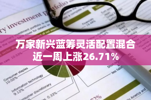 万家新兴蓝筹灵活配置混合近一周上涨26.71%