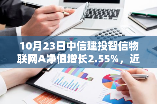 10月23日中信建投智信物联网A净值增长2.55%，近1个月累计上涨36.04%