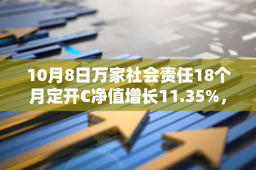 10月8日万家社会责任18个月定开C净值增长11.35%，今年来累计上涨48.26%