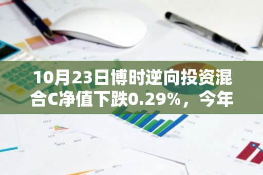 10月23日博时逆向投资混合C净值下跌0.29%，今年来累计上涨4.8%