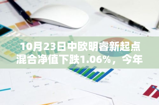 10月23日中欧明睿新起点混合净值下跌1.06%，今年来累计上涨7.68%