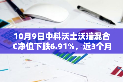 10月9日中科沃土沃瑞混合C净值下跌6.91%，近3个月累计下跌1.57%