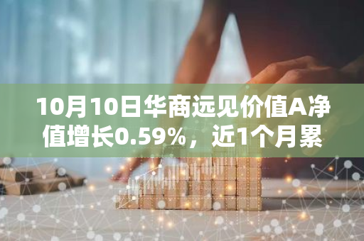 10月10日华商远见价值A净值增长0.59%，近1个月累计上涨39.8%