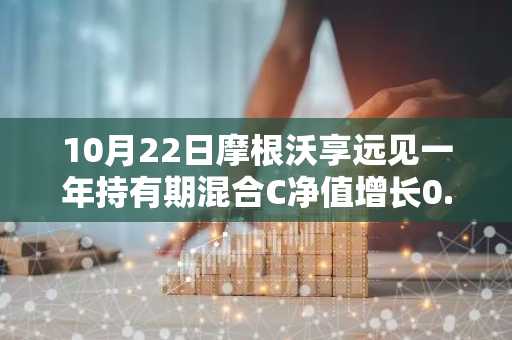 10月22日摩根沃享远见一年持有期混合C净值增长0.26%，近1个月累计上涨28.6%