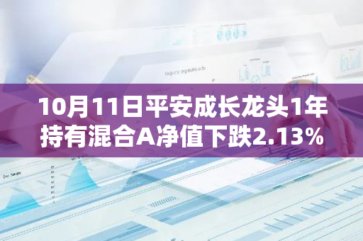 10月11日平安成长龙头1年持有混合A净值下跌2.13%，今年来累计下跌18.46%