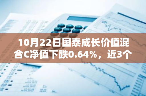 10月22日国泰成长价值混合C净值下跌0.64%，近3个月累计上涨17.19%