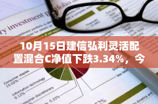 10月15日建信弘利灵活配置混合C净值下跌3.34%，今年来累计下跌27.39%