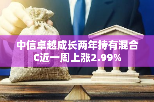 中信卓越成长两年持有混合C近一周上涨2.99%