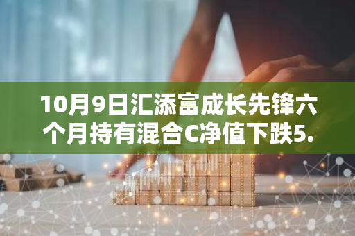 10月9日汇添富成长先锋六个月持有混合C净值下跌5.36%，近3个月累计上涨8.97%