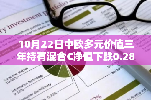 10月22日中欧多元价值三年持有混合C净值下跌0.28%，今年来累计上涨16.26%