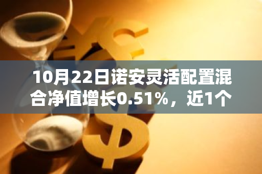 10月22日诺安灵活配置混合净值增长0.51%，近1个月累计上涨8.82%