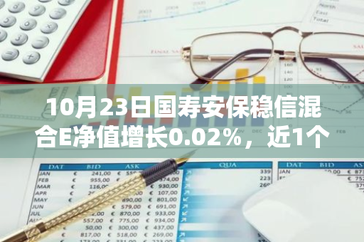 10月23日国寿安保稳信混合E净值增长0.02%，近1个月累计上涨7.27%