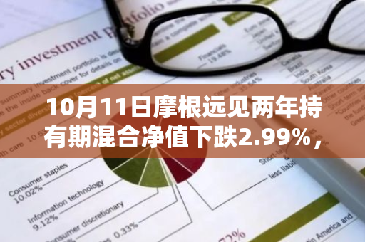 10月11日摩根远见两年持有期混合净值下跌2.99%，近3个月累计上涨6.86%