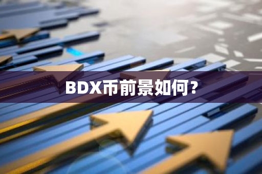 BDX币前景如何？