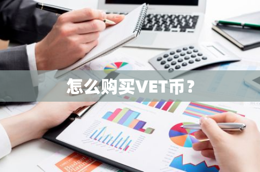 怎么购买VET币？