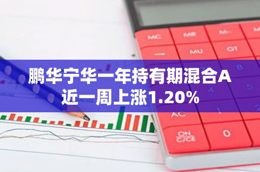 鹏华宁华一年持有期混合A近一周上涨1.20%