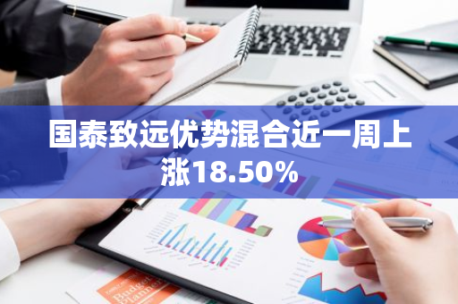 国泰致远优势混合近一周上涨18.50%