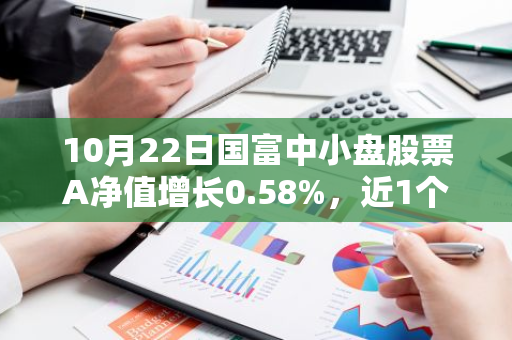 10月22日国富中小盘股票A净值增长0.58%，近1个月累计上涨23.52%