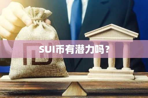 SUI币有潜力吗？