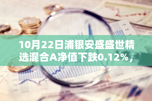 10月22日浦银安盛盛世精选混合A净值下跌0.12%，今年来累计下跌2.18%