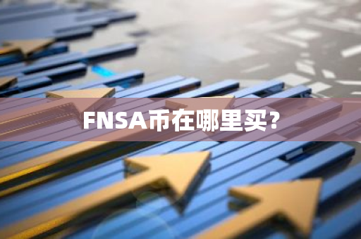 FNSA币在哪里买？